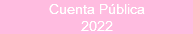 Cuenta Pública 2022 